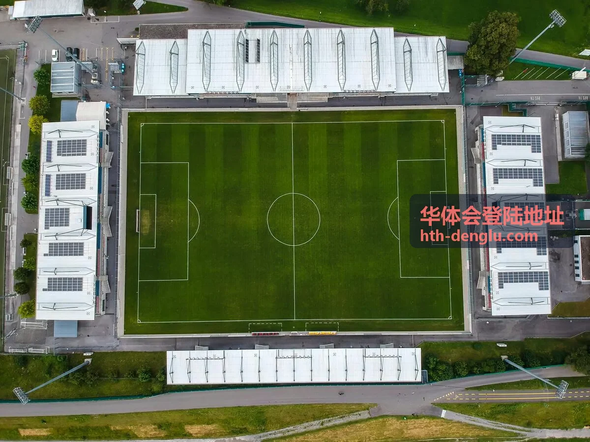 华体会登陆地址案例娱乐